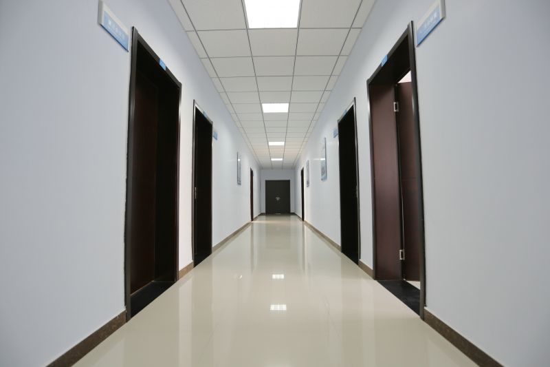 Entrance Hall Painting