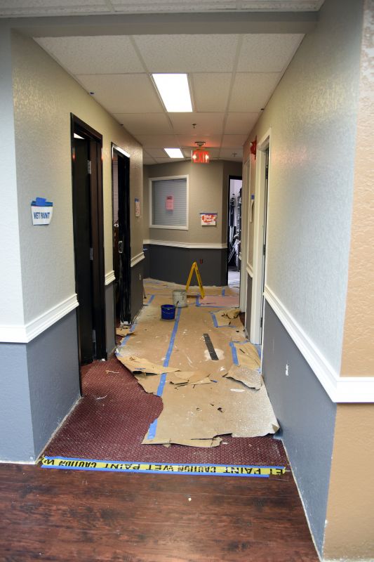 Entrance Hall Painting